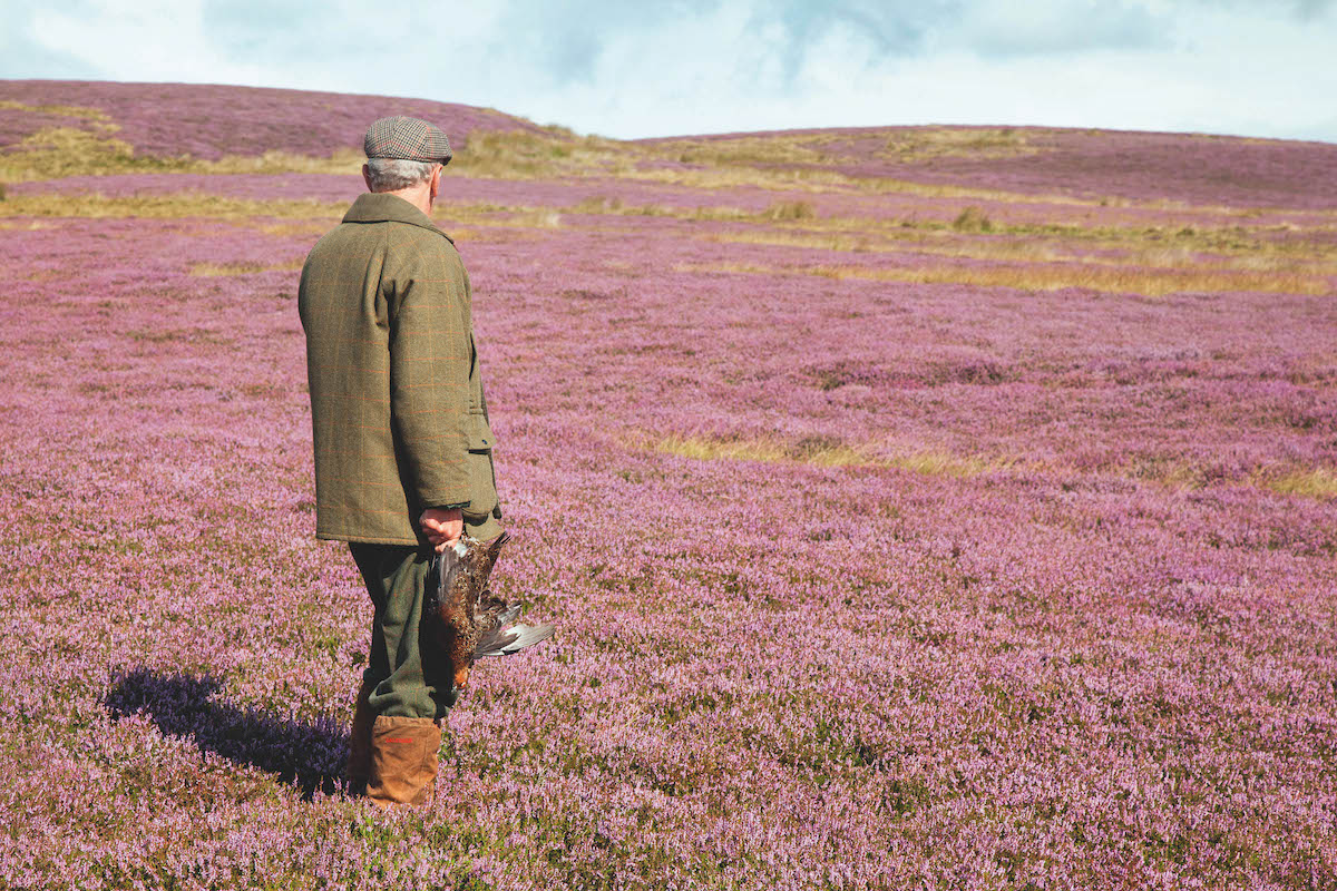 Grouse shooting leases will not be renewed by United Utilities - Vimarsana News