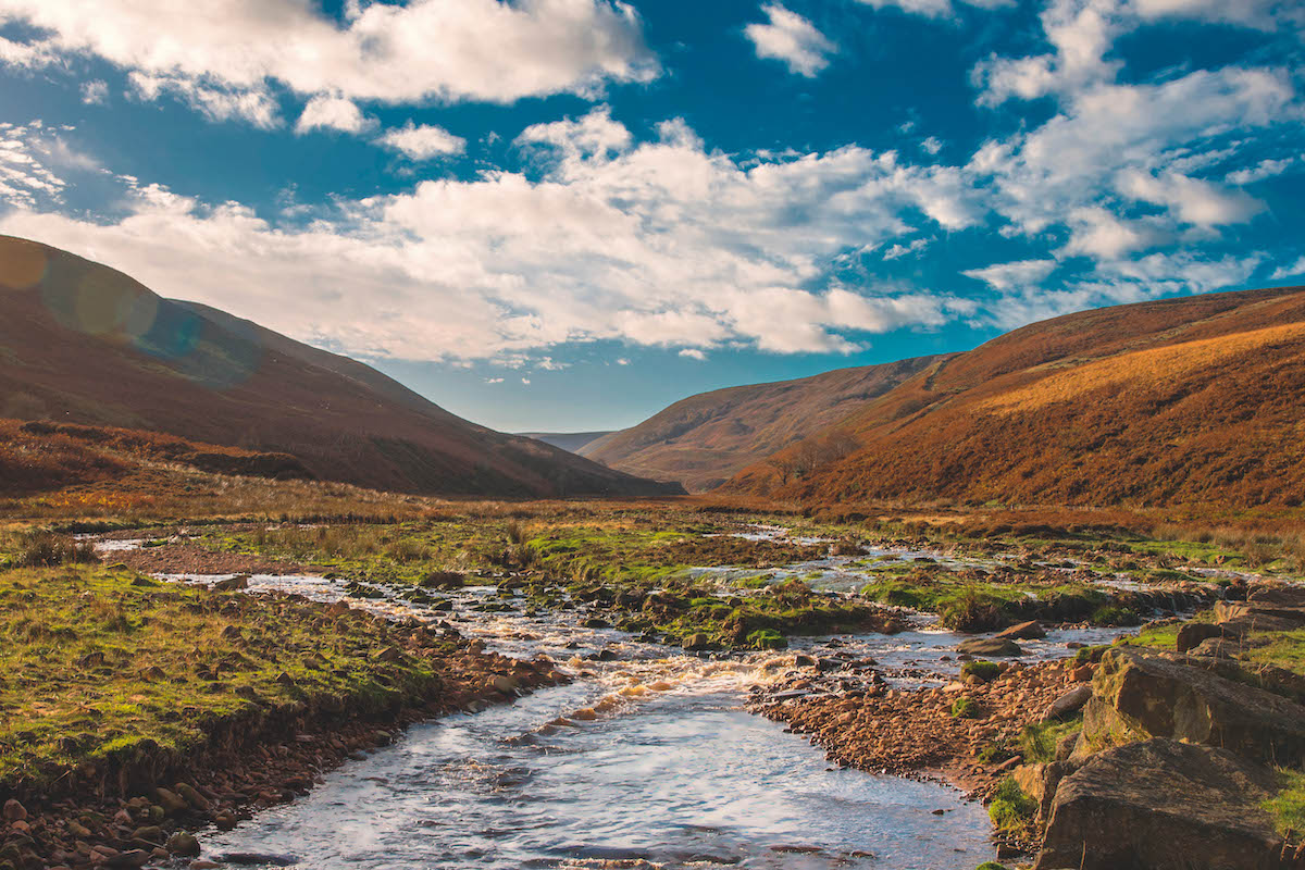 The countryside is fighting back - Shooting UK - Vimarsana News
