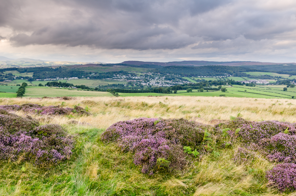 Will Brian May buy the Rothbury Estate? - Vimarsana News