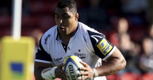 sisa koyamaibole sale sharks