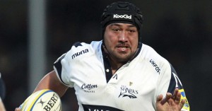 karena wihongi sale sharks