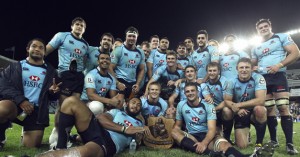 waratahs