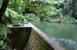 Dam on Waterworks Track Dam on Waterworks Track