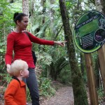 Mangakara Nature Walk