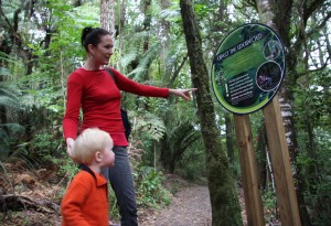 Mangakara Nature Walk