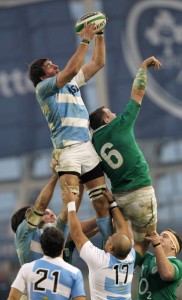 juan martin fernandez lobbe