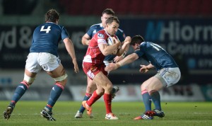 Astute signing: Olly Barkley has given the Scarlets options