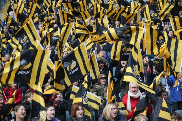 Wasps fans