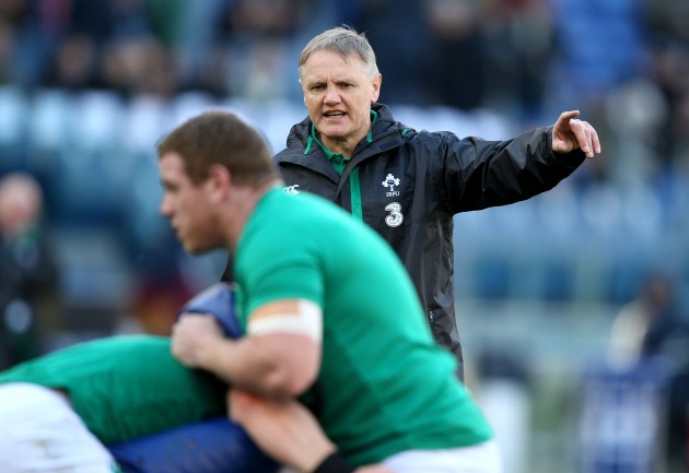 Joe Schmidt