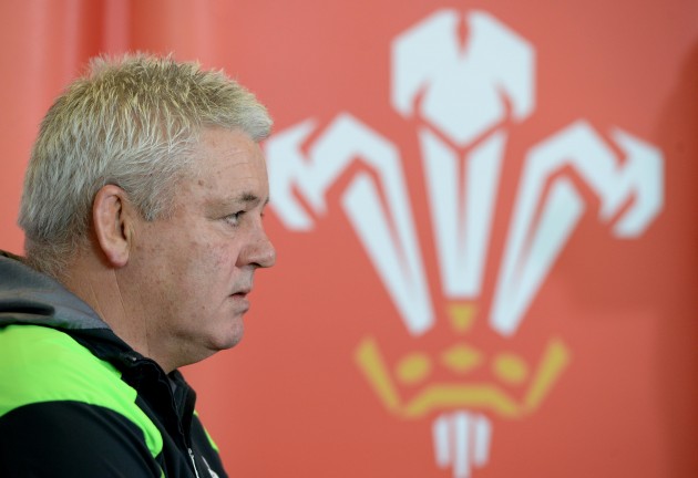 Clear head: Warren Gatland got his tactics right