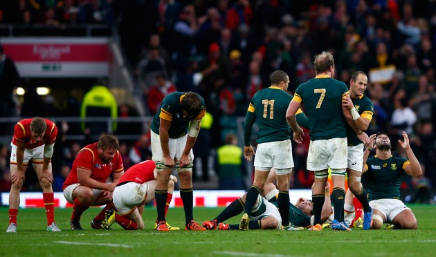 Wales v South Africa