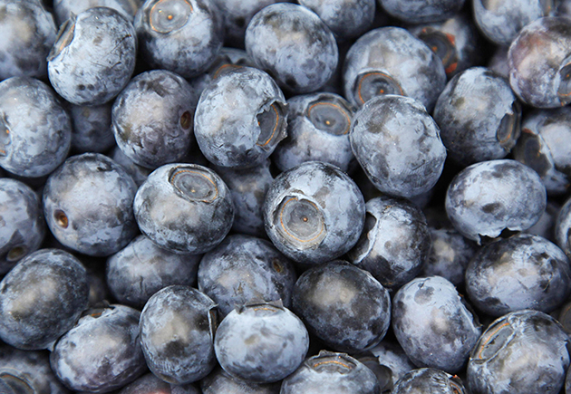 Blueberries
