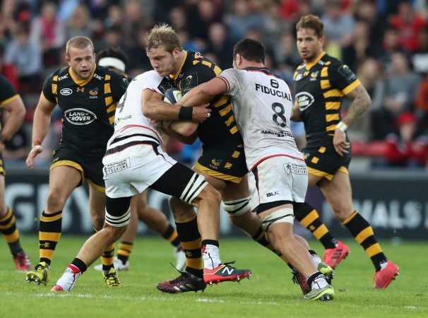 Toulouse v Wasps