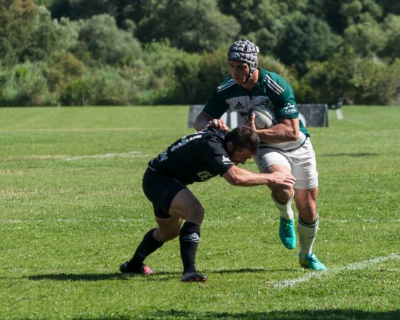 Vasco Ribeiro of Agronomia