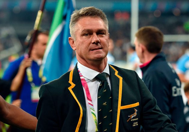 Heyneke Meyer Returns to Elite Coaching