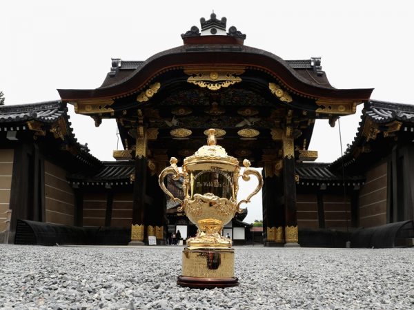 Rugby World Cup Qualified Teams