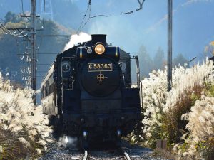 Rugby World Cup 2019 Travel Guide: SAITAMA