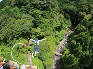 Rugby World Cup 2019 Travel Guide: FUJI