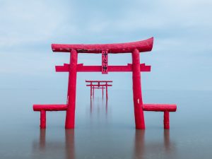 Rugby World Cup 2019 Travel Guide: SAGA