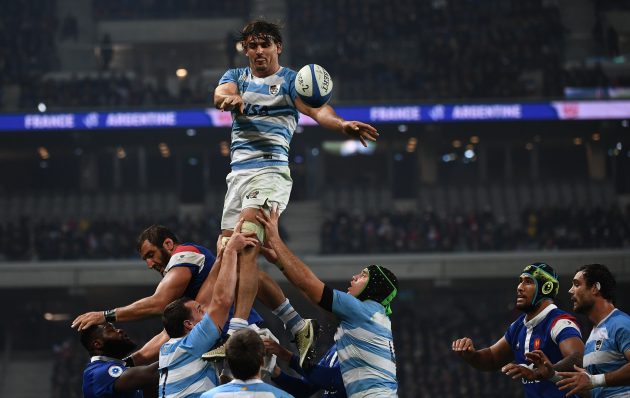 Autumn Internationals Scotland v Argentina preview