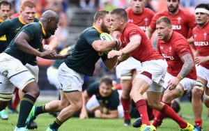 Autumn Internationals Wales v South Africa Preview