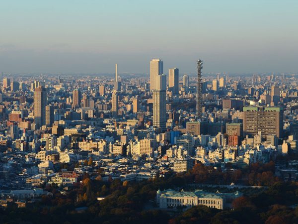 Rugby World Cup - Earthquakes
