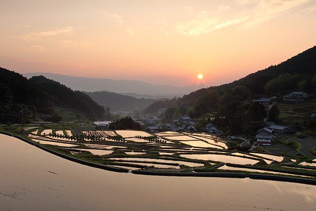 Japan 2019 Travel Guide: Nara
