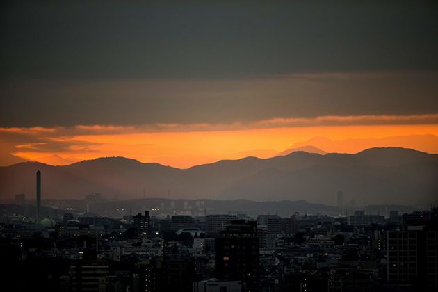 question of integrity at Rugby World Cup