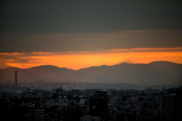 question of integrity at Rugby World Cup