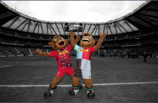 Fans return to Harlequins as mascots watch from home