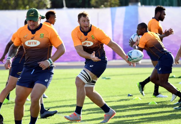 Springbok Showdown