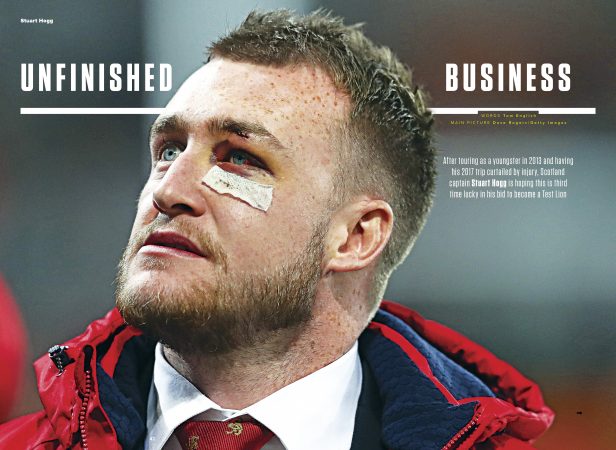 FREE Lions wallchart