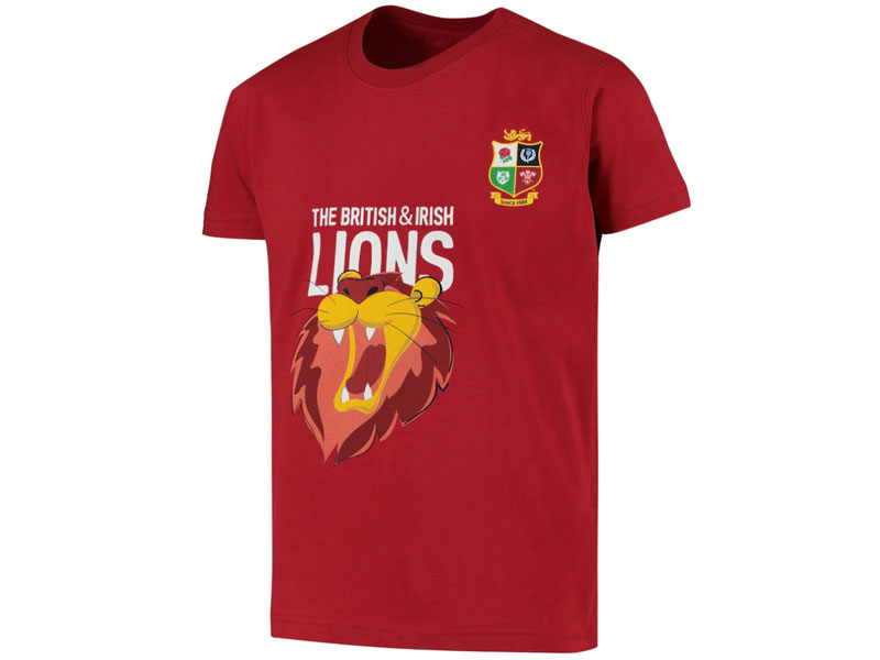 British and irish lions on sale hoodie