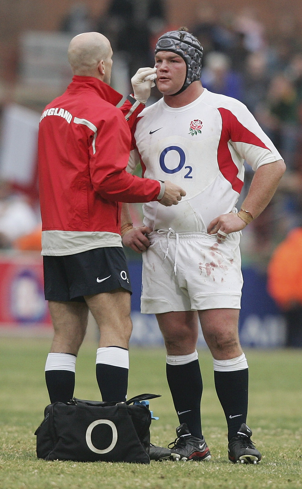 Our Blood is Green – the Springboks in their own words