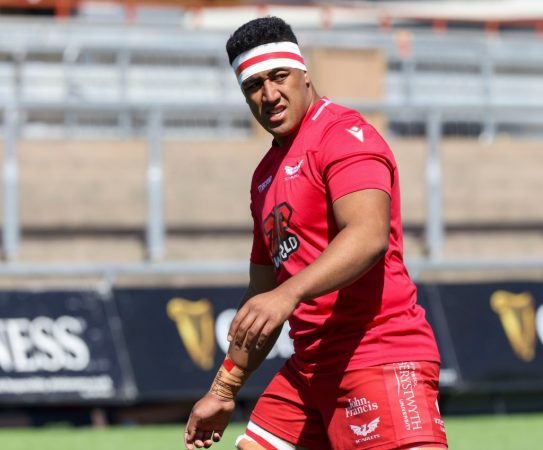 Scarlets back-row Carwyn Tuipulotu