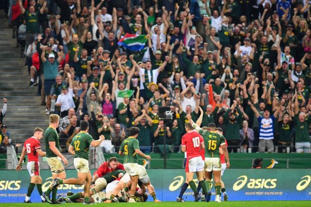South Africa overpower Wales