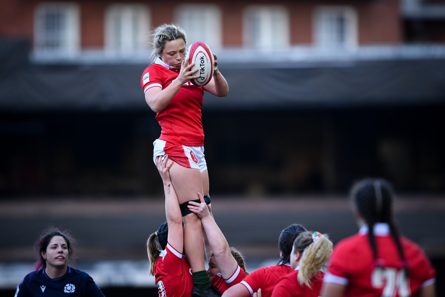 The Ultimate Rugby World Cup 2022 Guide Rugby World