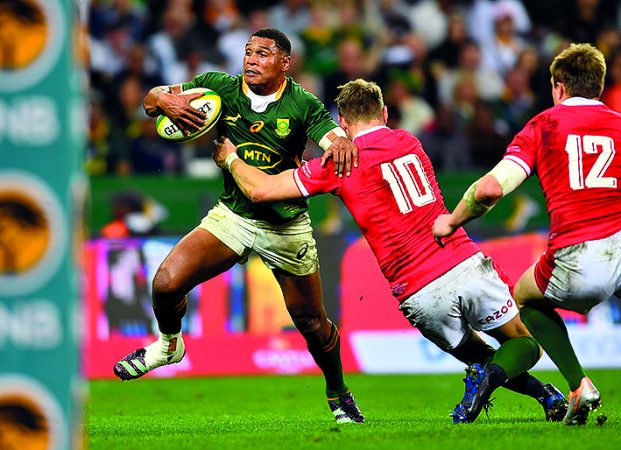 Willemse Springboks
