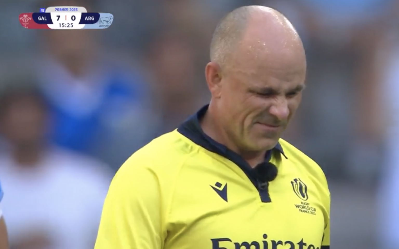 Referee Jaco Peyper goes off injured in Wales v Argentina quarterfinal