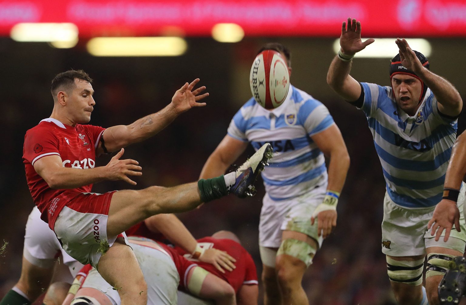 Watch Wales v Argentina live stream: how to watch the Rugby World Cup ...