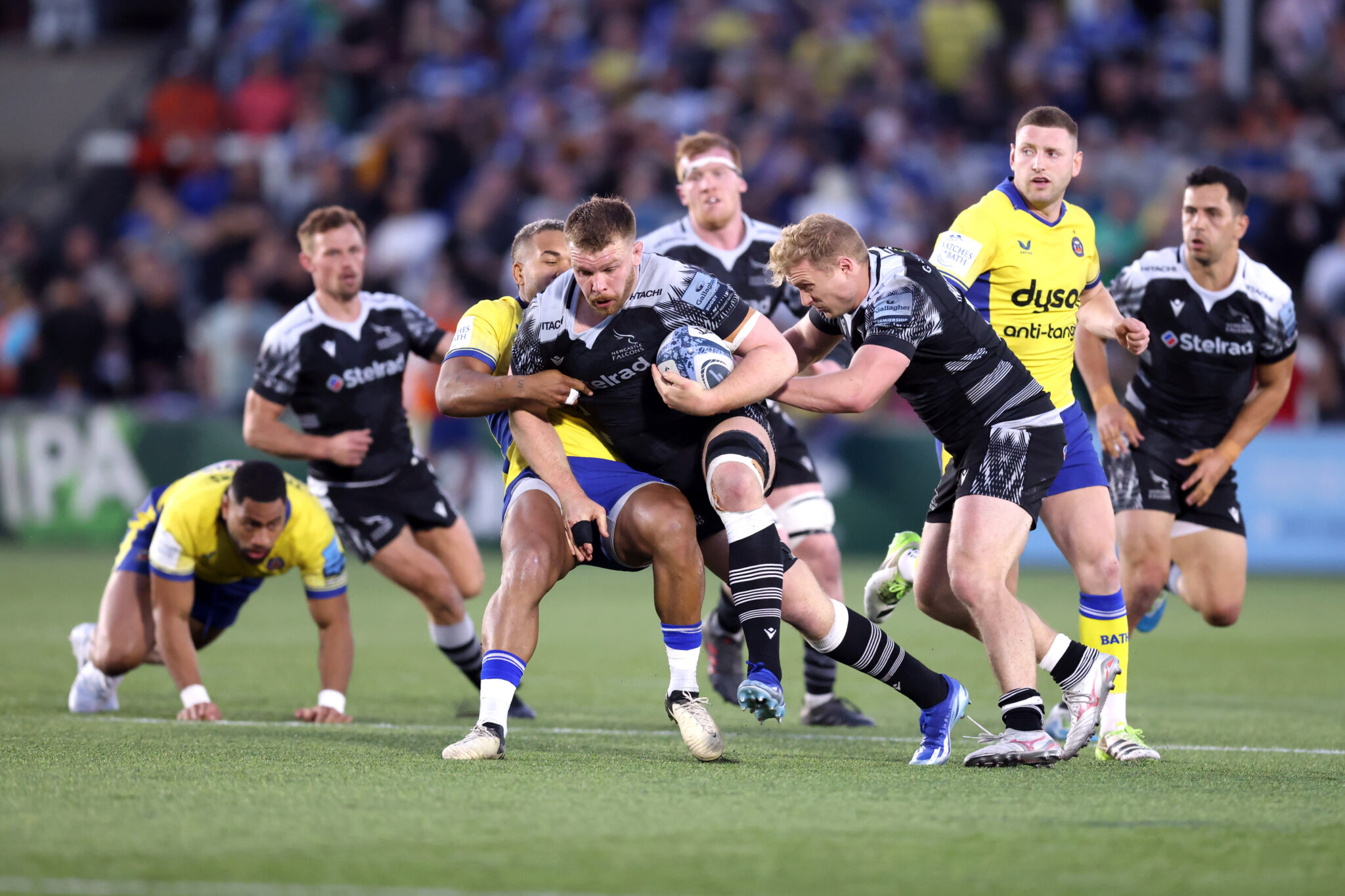 Newcastle Falcons Gallagher Premiership preview 2024-25 season