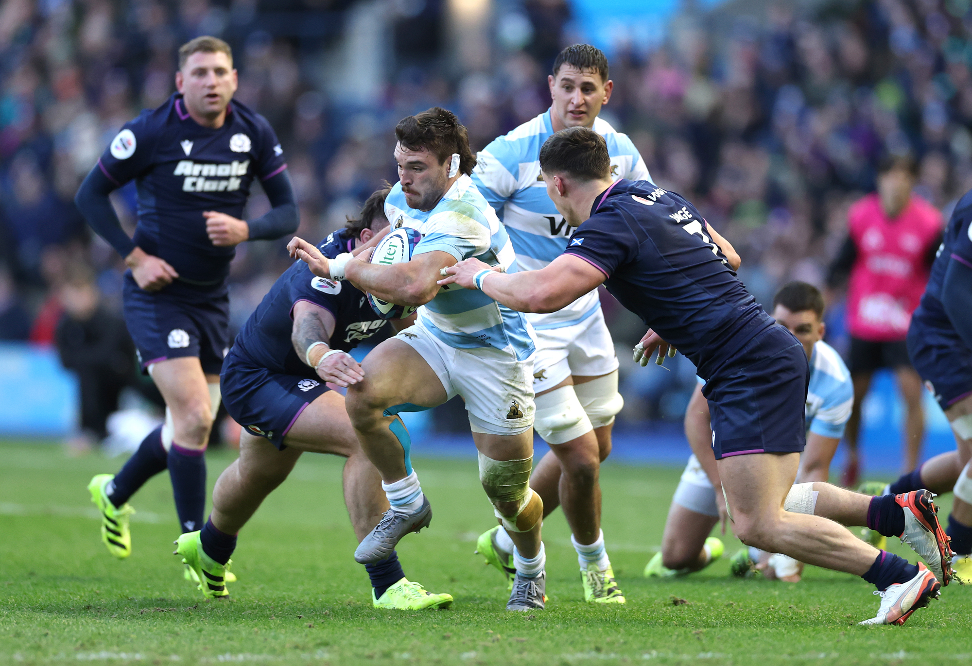 Watch Argentina v Scotland: How to watch today’s final Nations Championship game from anywhere