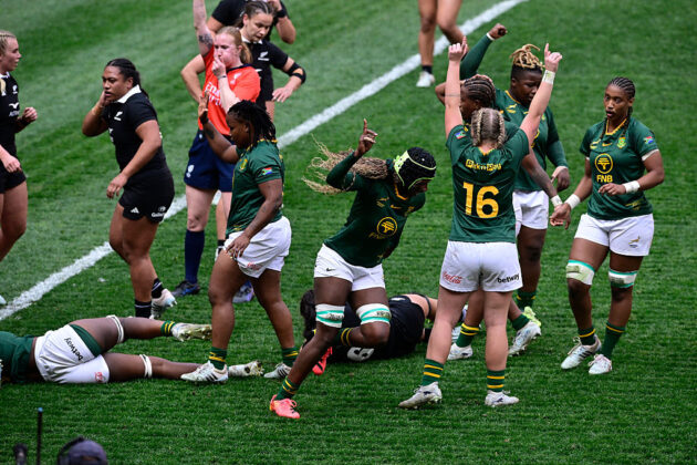 Springboks